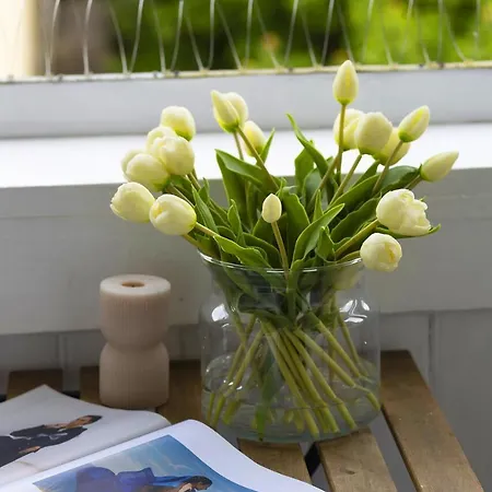 Elite Parkowa Economy