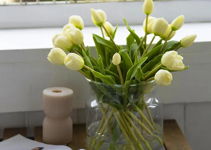 Elite Parkowa Economy